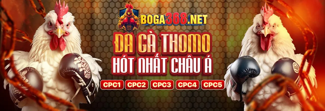 Đá gà trực tuyến kịch tính tại fp88 chính thức